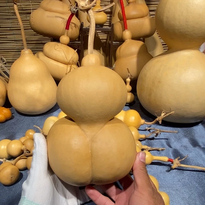 葫芦大金蝉葫芦葫芦