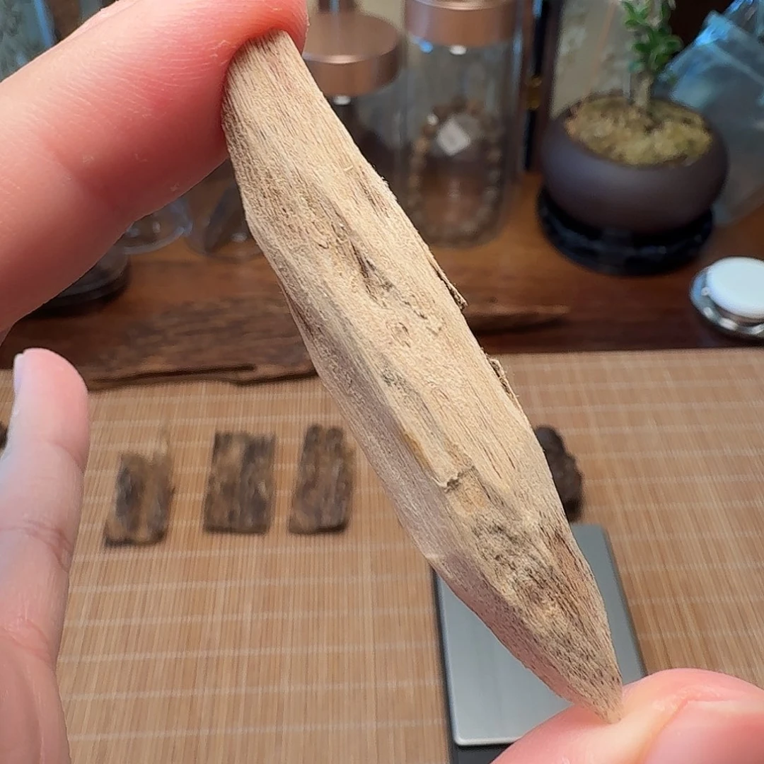 沉香惠东棋韵瓜子胚