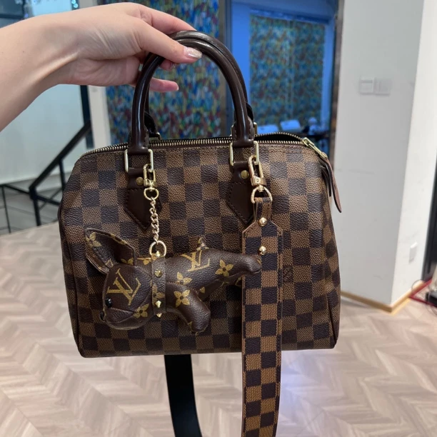95新 LouisVuitton/路易威登 LouisVuitton/路易威登 mx8313/2507