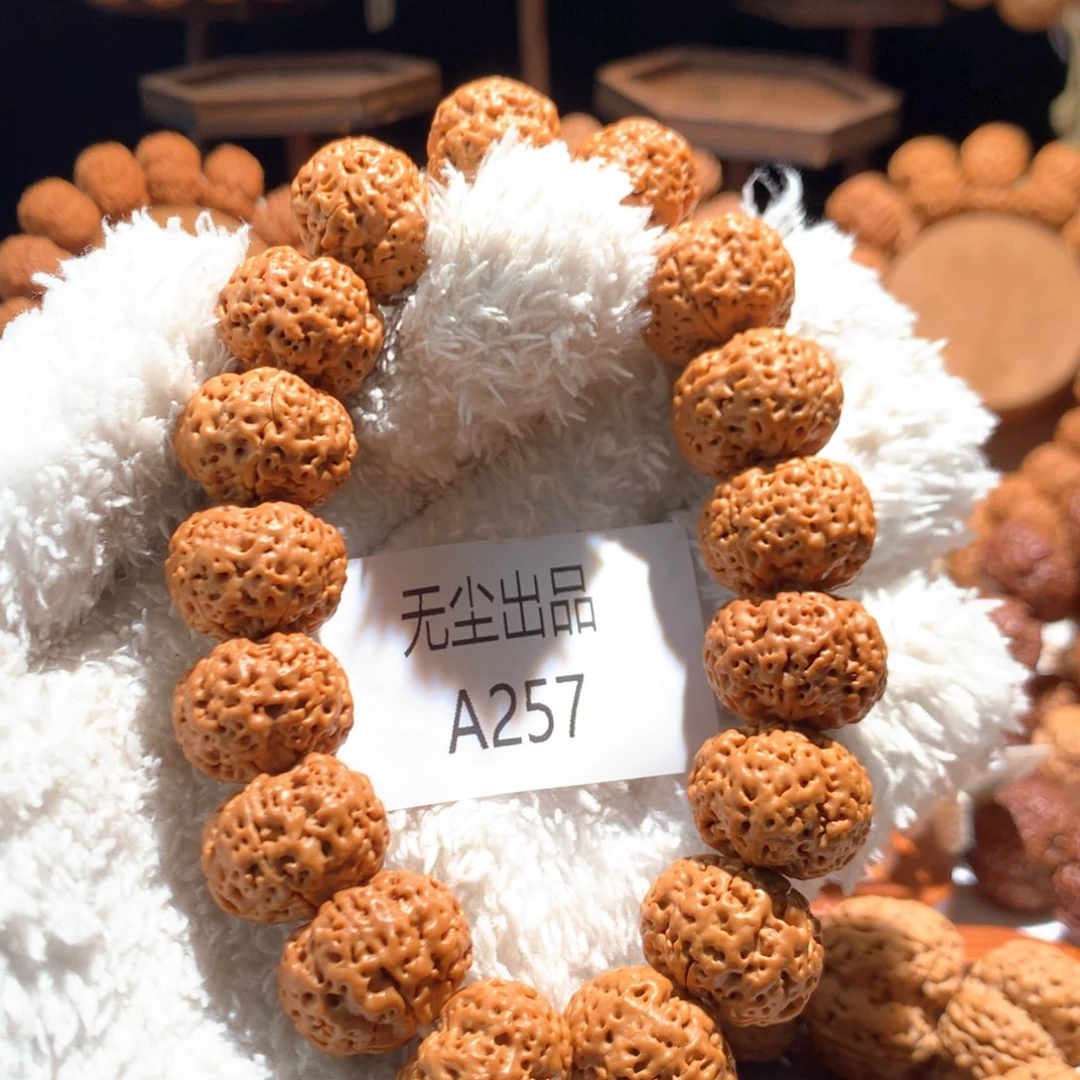 金刚菩提手串大*19皮皮虾蜂王定制