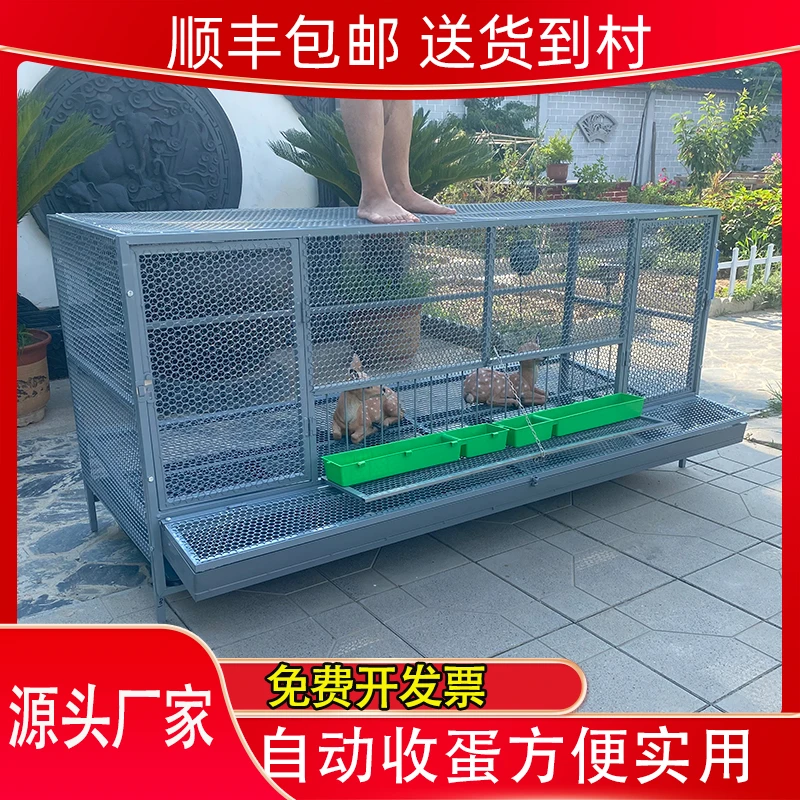 自动滚蛋笼防腐防锈