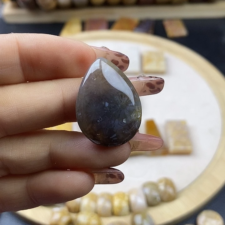 硅化珊瑚（珊瑚玉）未镶嵌颈饰21