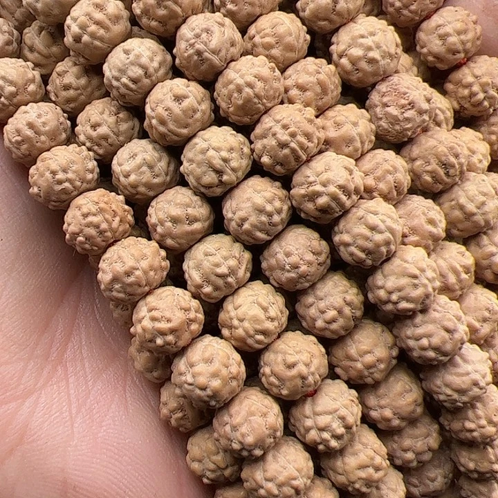 毛***金刚菩提手串谢谢