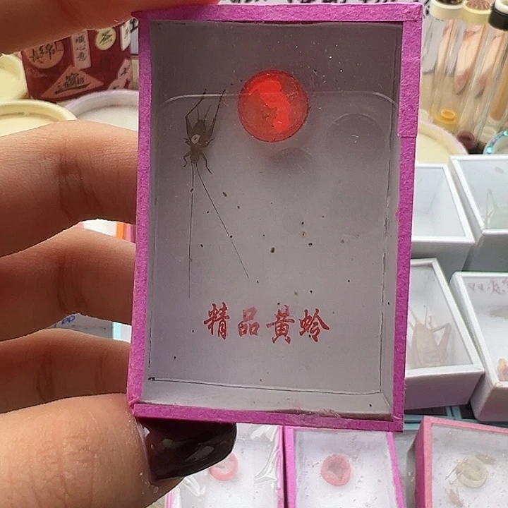 大***生中黄蛉一只全品。