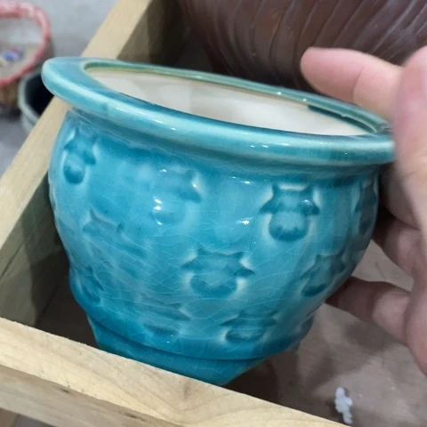印章牛31313131331