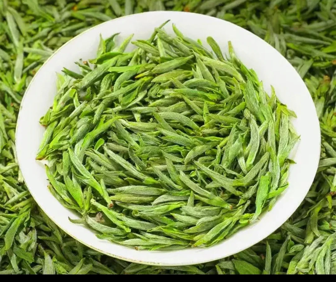 开园头采绿茶毛峰单芽25年新茶M42高山茶浓香茶叶绿茶2025新茶