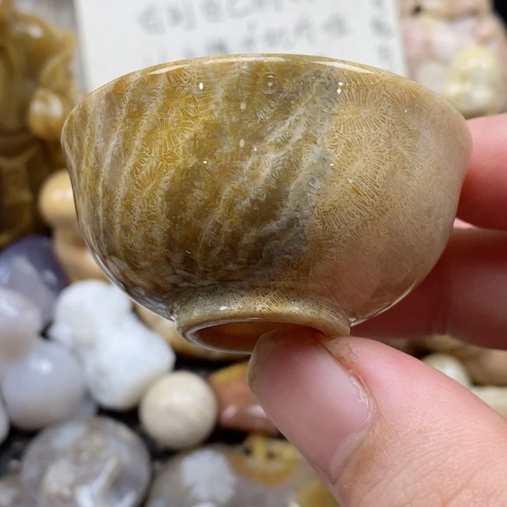 颈饰未镶嵌硅化珊瑚（珊瑚玉）