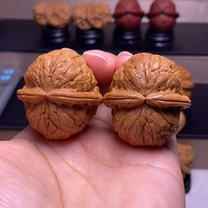 文玩核桃把件金龟玉甲22