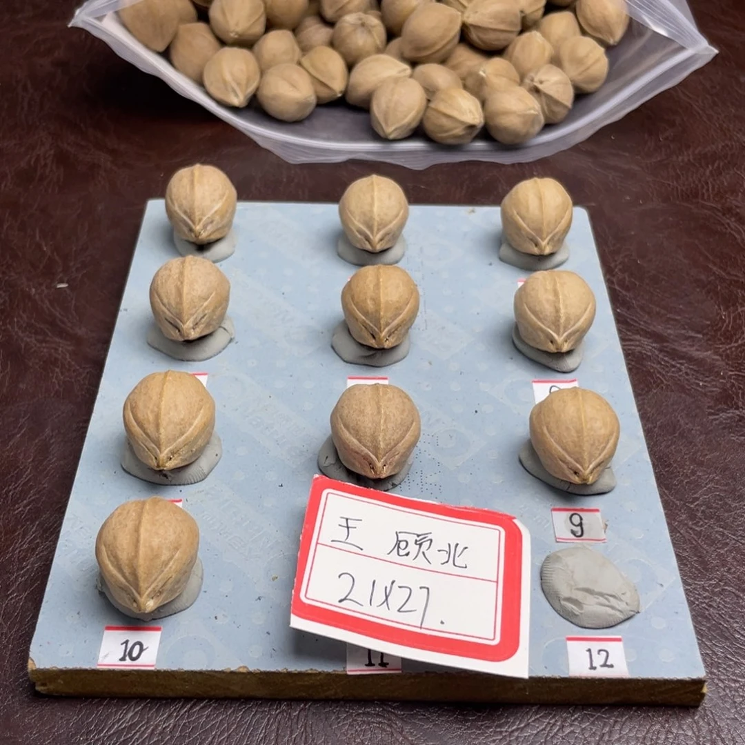 手串/手链橄榄核晓*望21.27梅林铁核