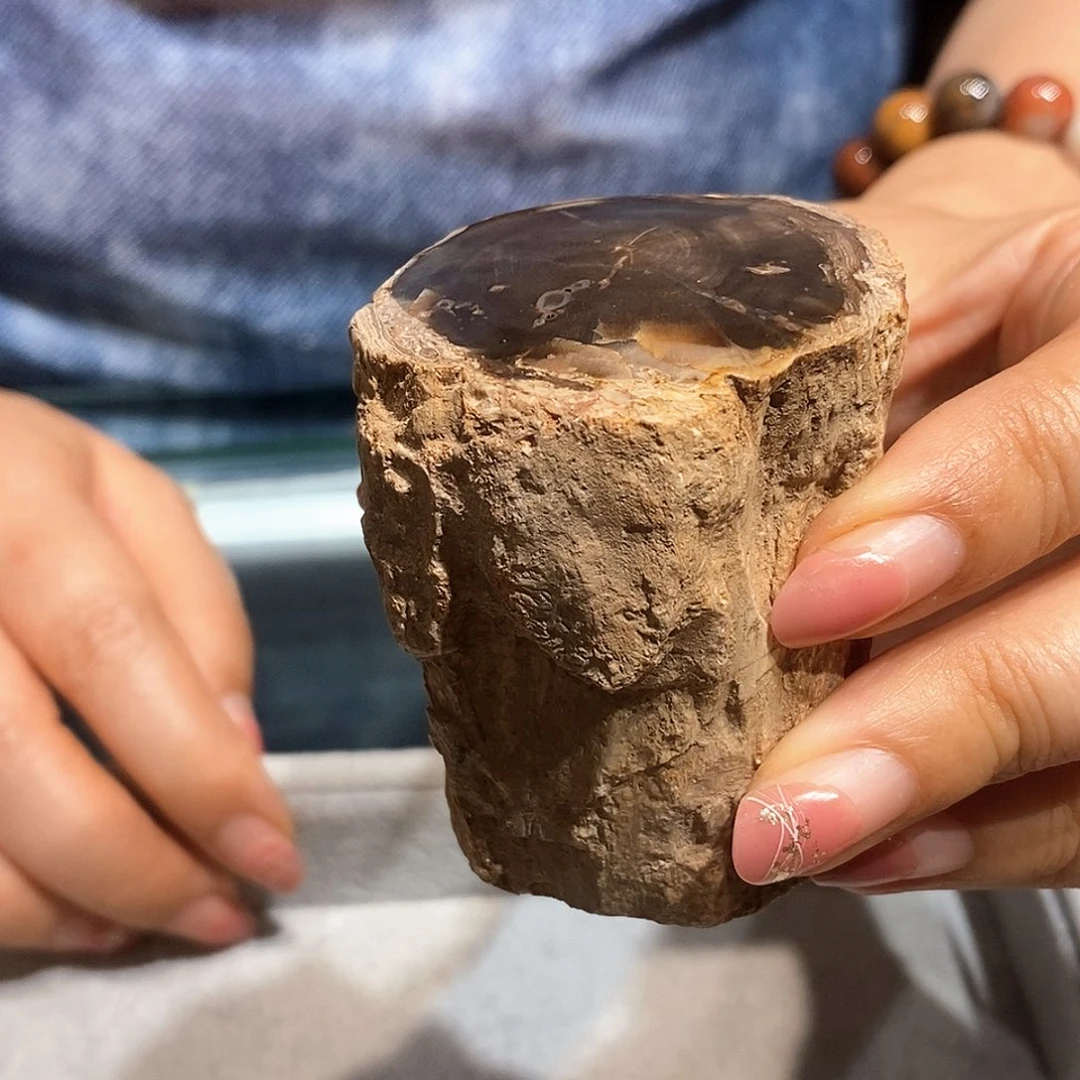 硅化玉天然北票硅化玉原石未镶嵌