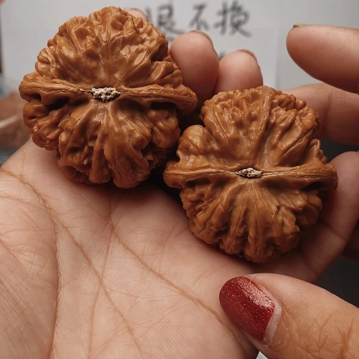 核桃大粗筋46尺核桃