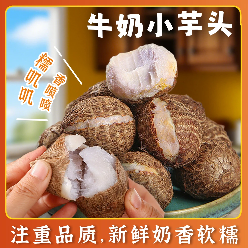 云南牛奶小芋头口感细腻新鲜云南小芋头云南高山的毛芋头蔬菜芋艿
