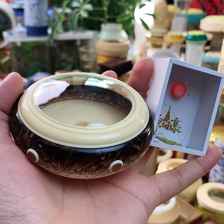 带柬埔寨竹蛉啊啊啊啊啊
