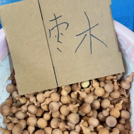非洲紫檀（红花梨）