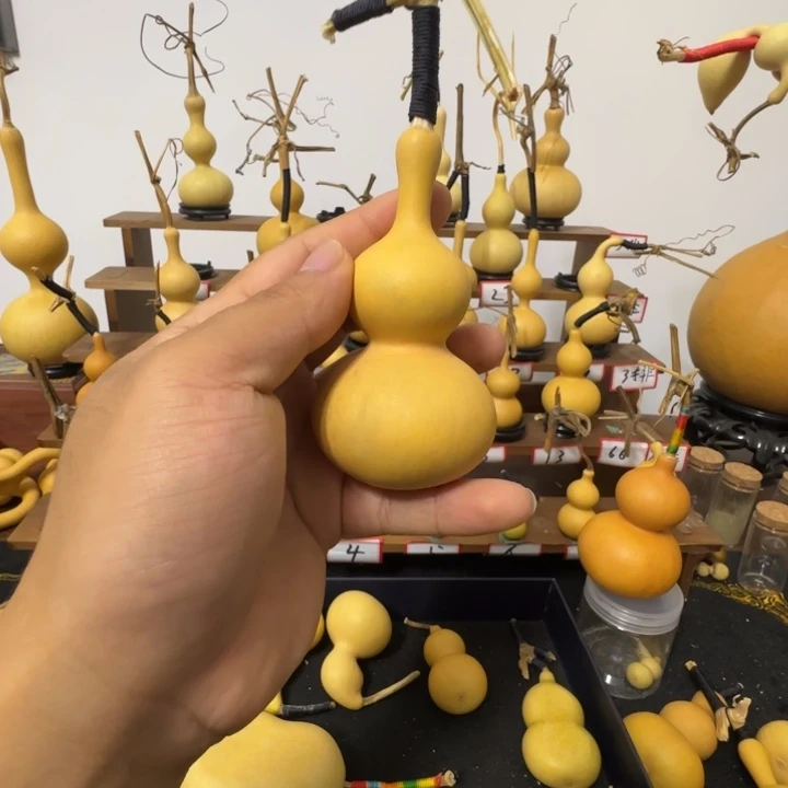 S****有机玻璃葫芦葫芦葫芦葫芦280