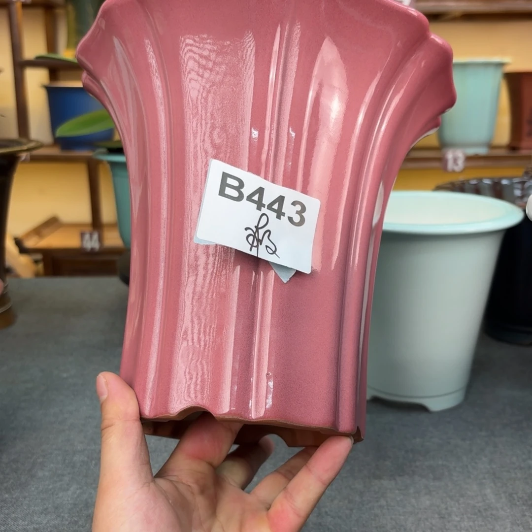 顧***憶紫砂花盆兰花555565565588