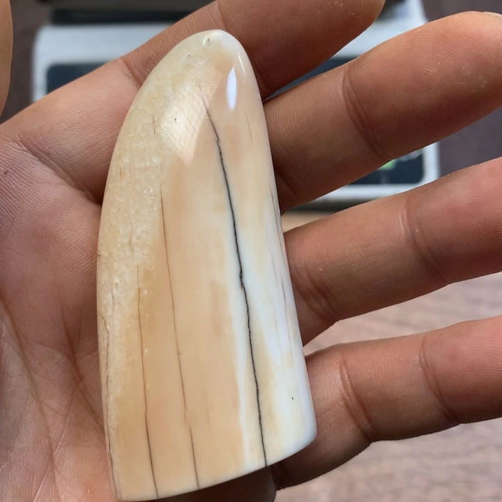 手串/手链/手镯猛犸象牙al44