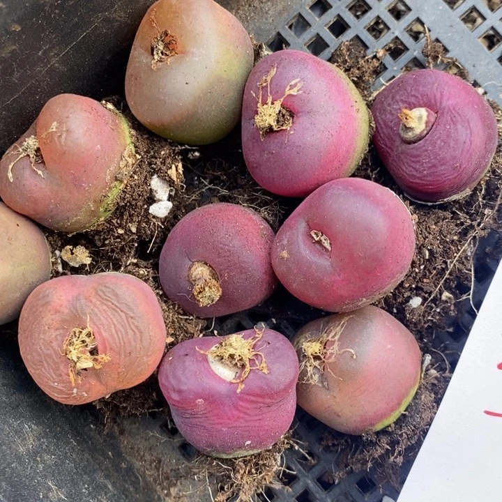 2685一组一组一组