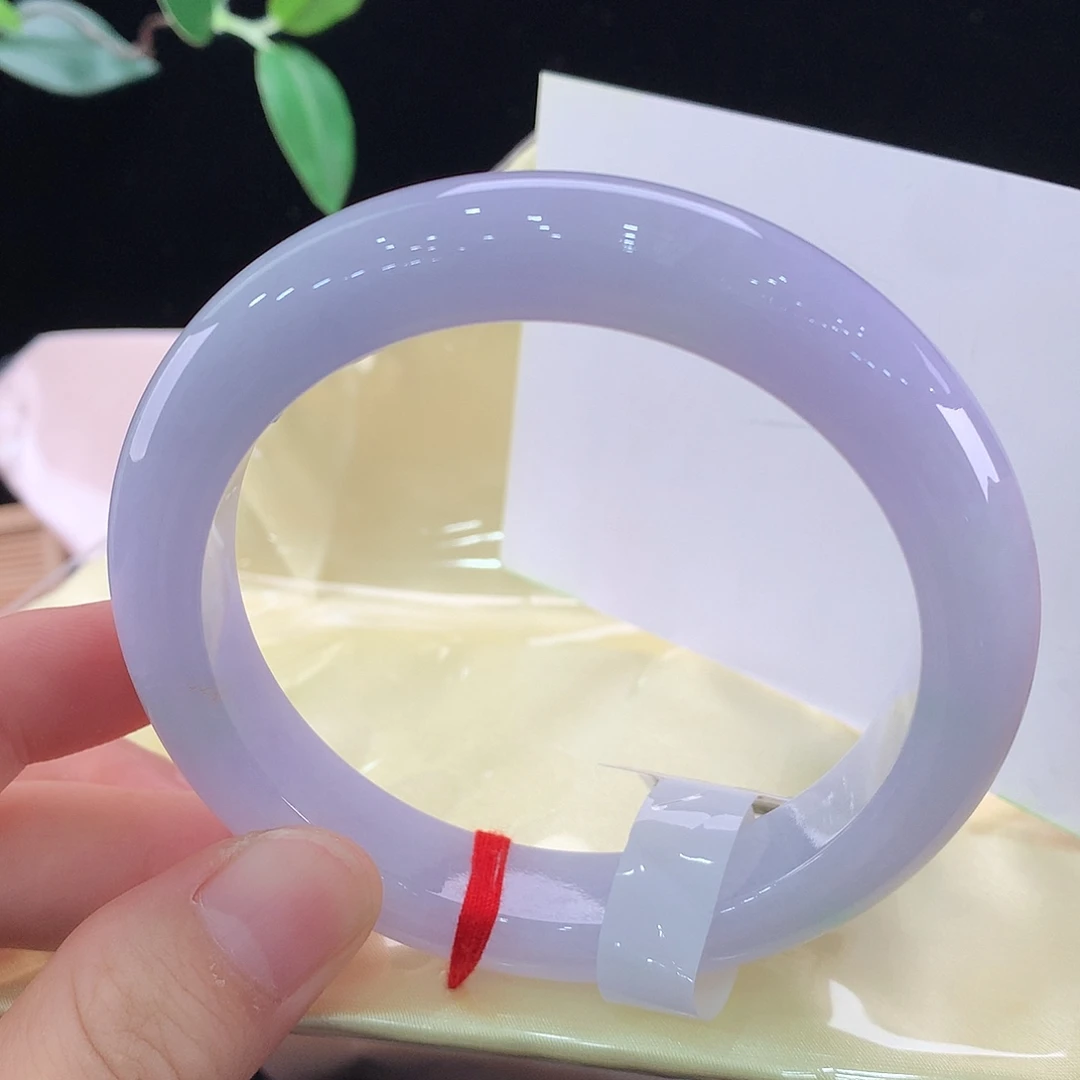 未镶嵌手镯翡翠0495