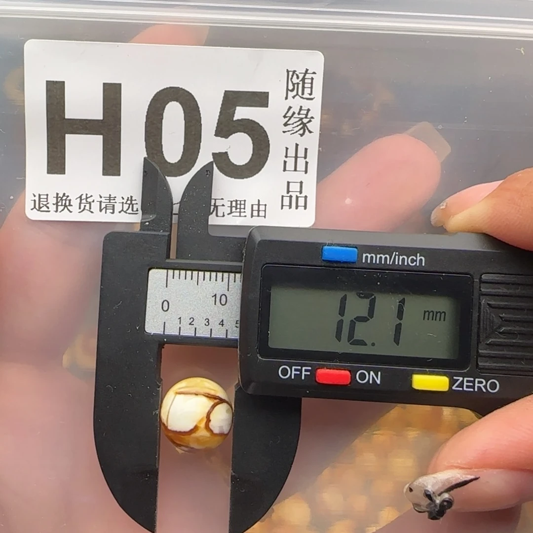 B****未镶嵌琥珀裸石12尺寸