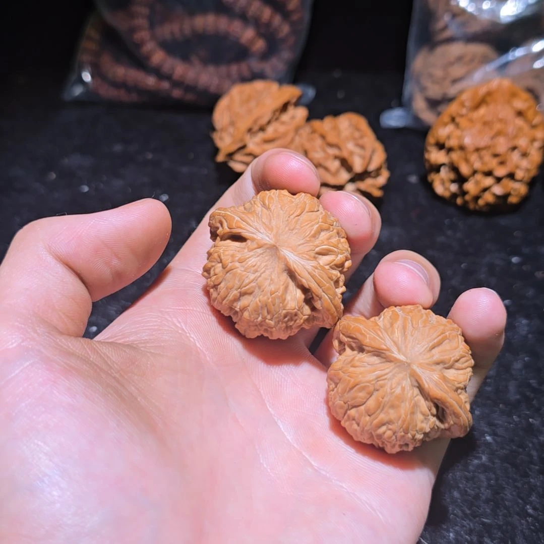 无***义核桃哈哈哈哈哈哈哈哈