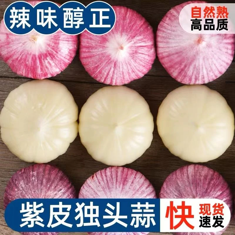 【新店半价】紫皮独头蒜新鲜独大蒜头新晒干蒜0.5/2/3/5斤包邮