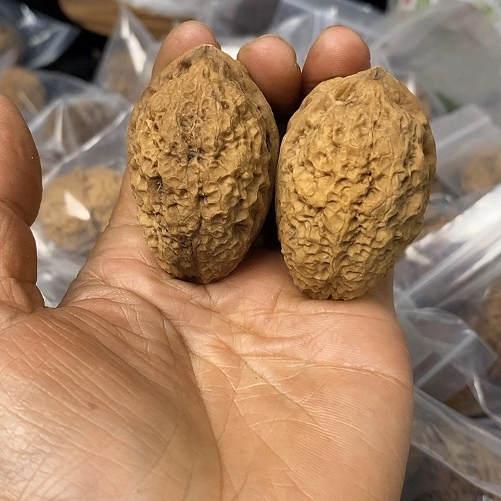 核桃云南铁核桃基地94