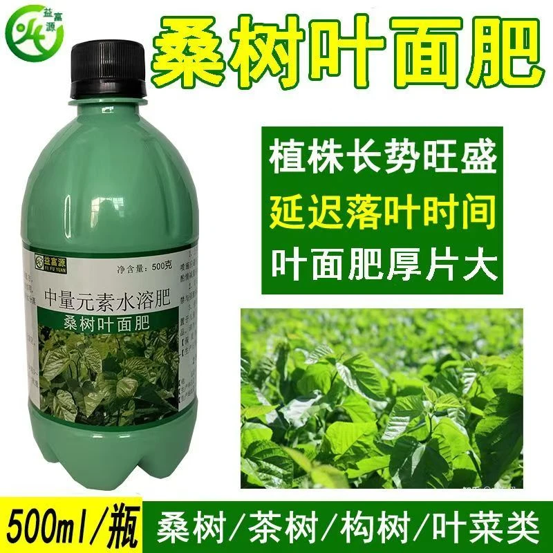 桑树叶面肥桑树营养液叶片肥厚大蚕宝宝爱吃长势旺多扎根桑树肥料