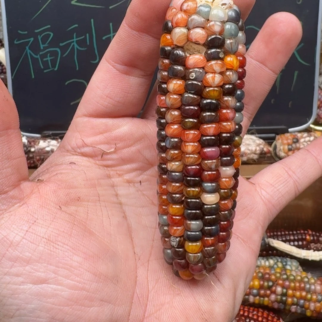 柏香籽/百香籽吊坠小*❤