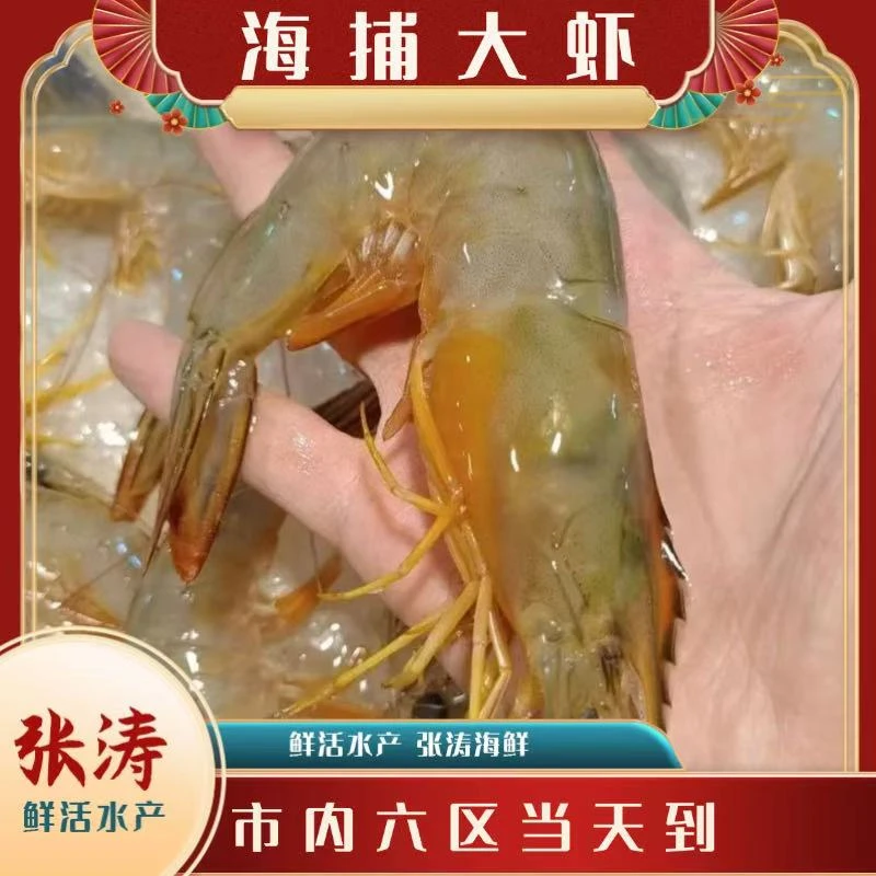 【海捕大虾】海捕大虾 张涛水产15-20条/斤 2-10斤当日达