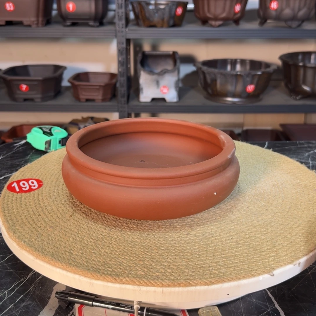 不错不错不错不错不错