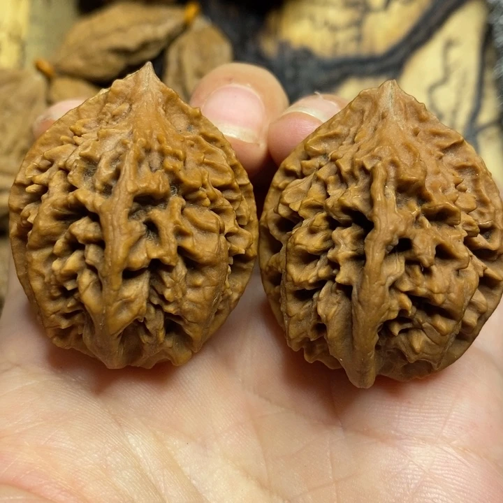 文玩核桃吊坠阿成蚂蚁