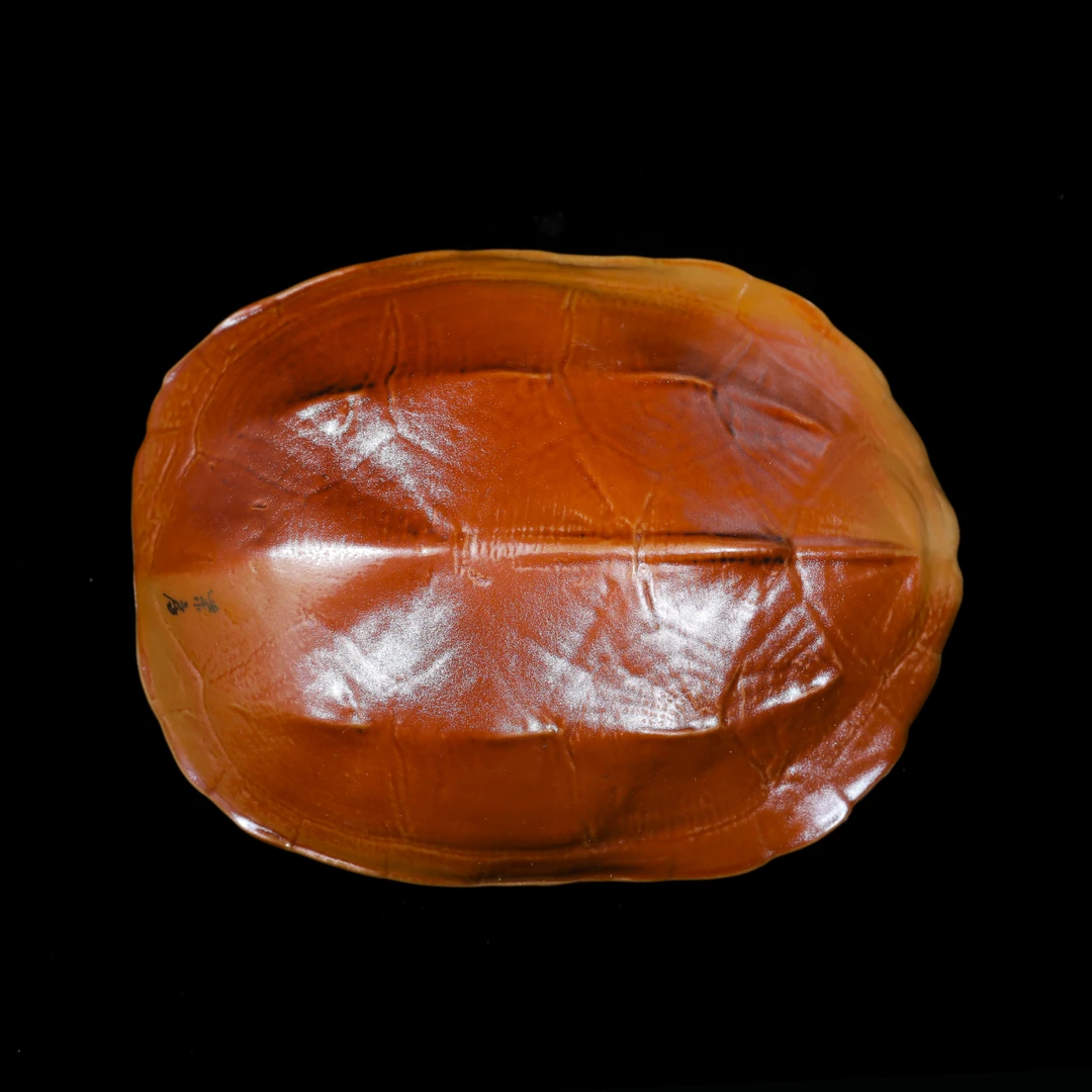 【晚晚专享】柴房柴烧龟背茶则 WF005