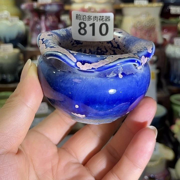 狼盆内口径5高度5