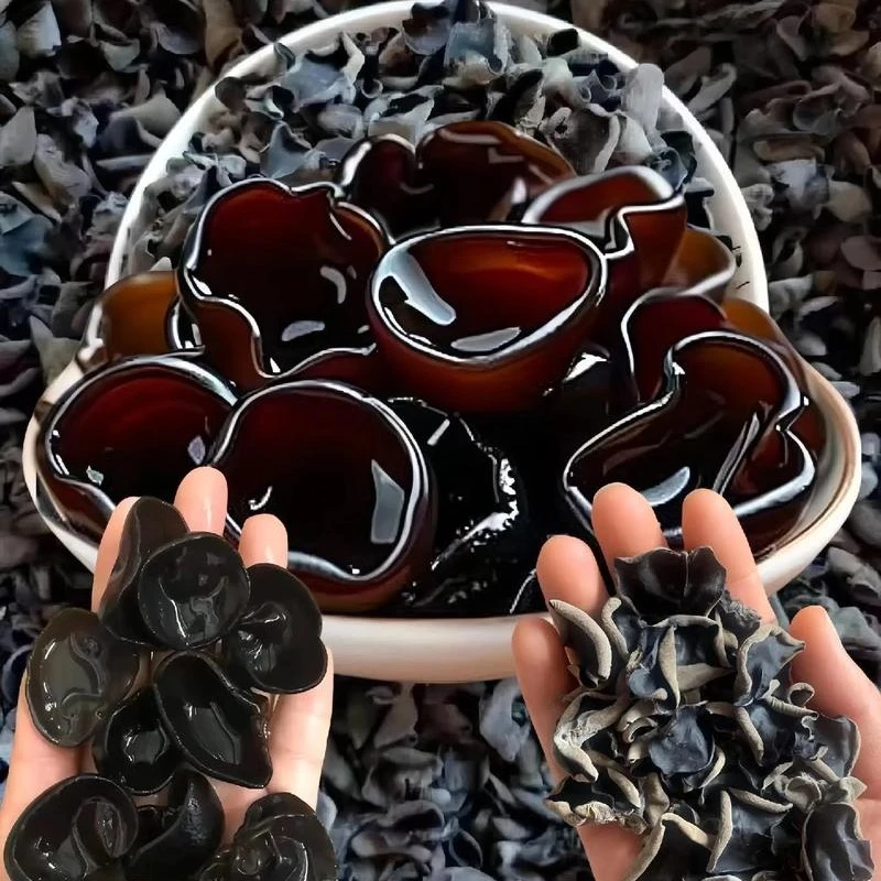 优质黑龙江秋木耳无根肉厚净重500克 ,可以试吃100克