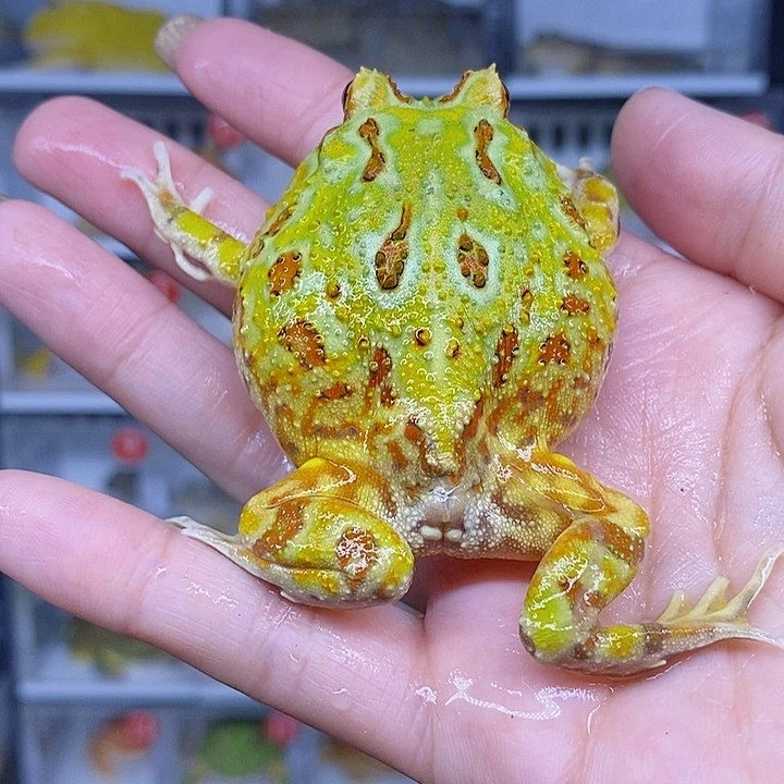 特价秒杀现货特价