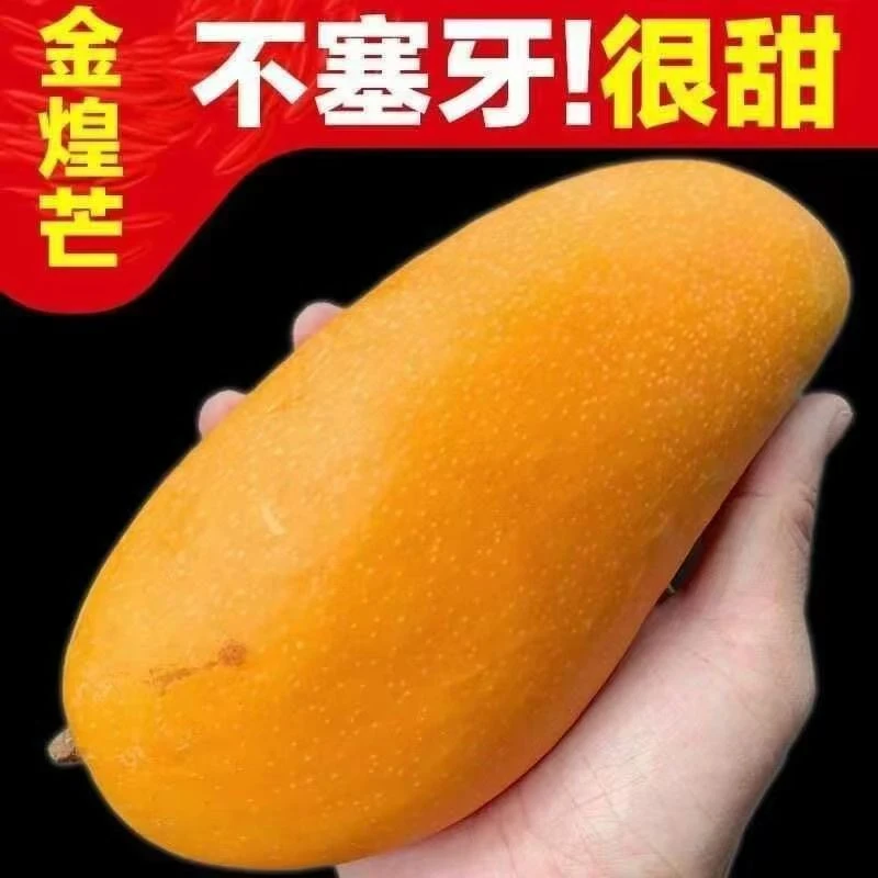 现摘广西金煌芒果热带新鲜水果当季大青
