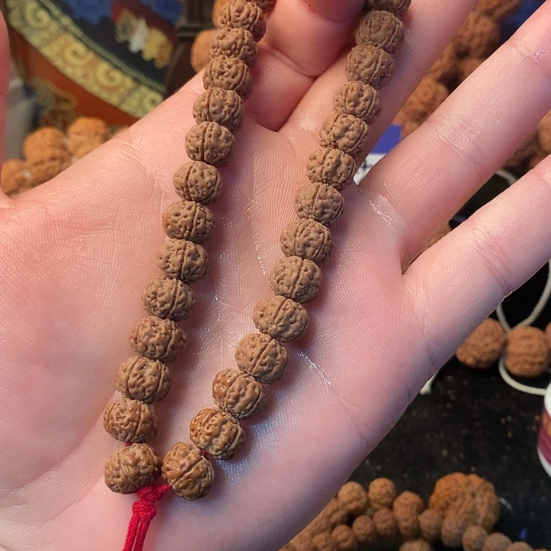 往***风手串金刚菩提11+老树王纯血毕业