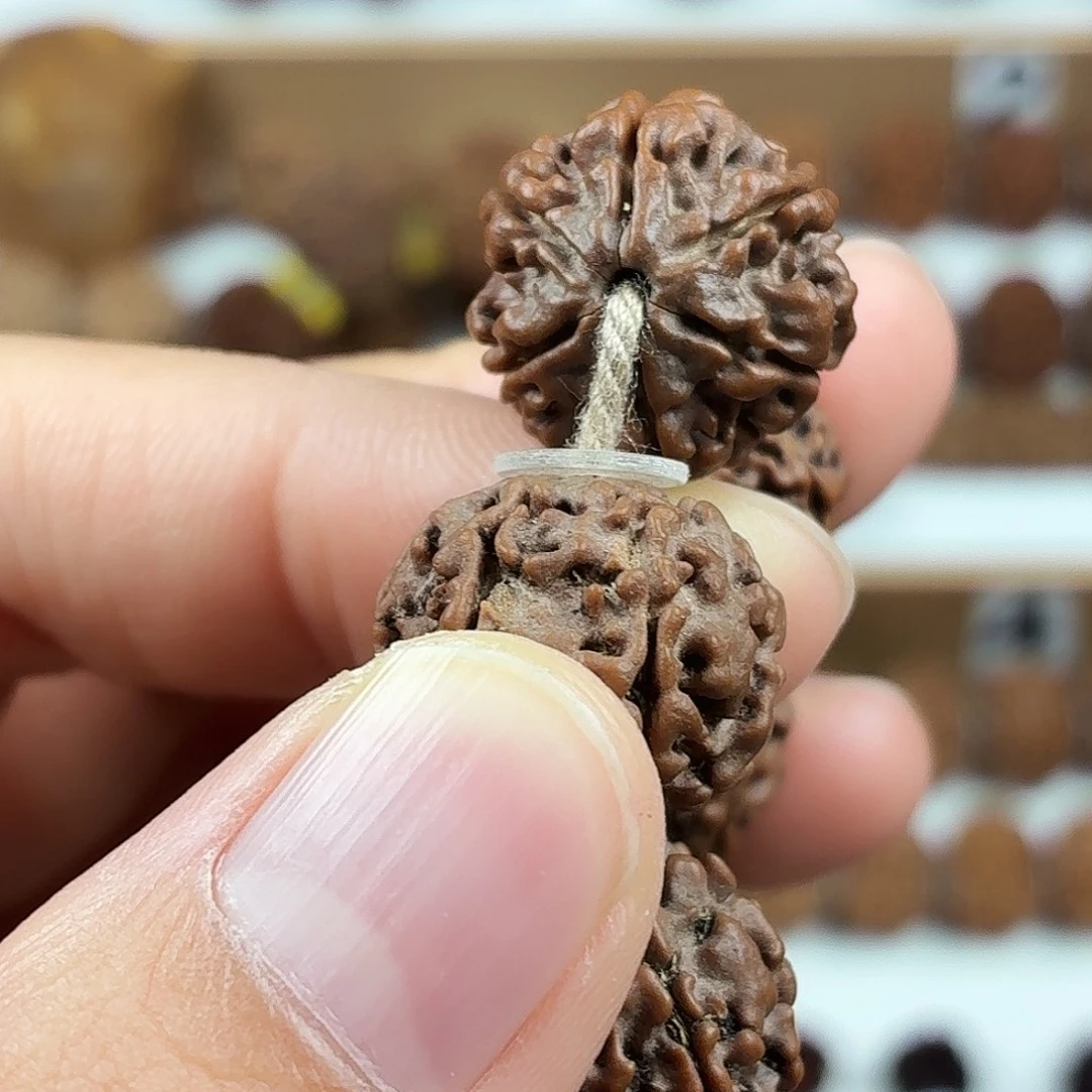 手串金刚菩提精品6瓣铁籽蜂窝