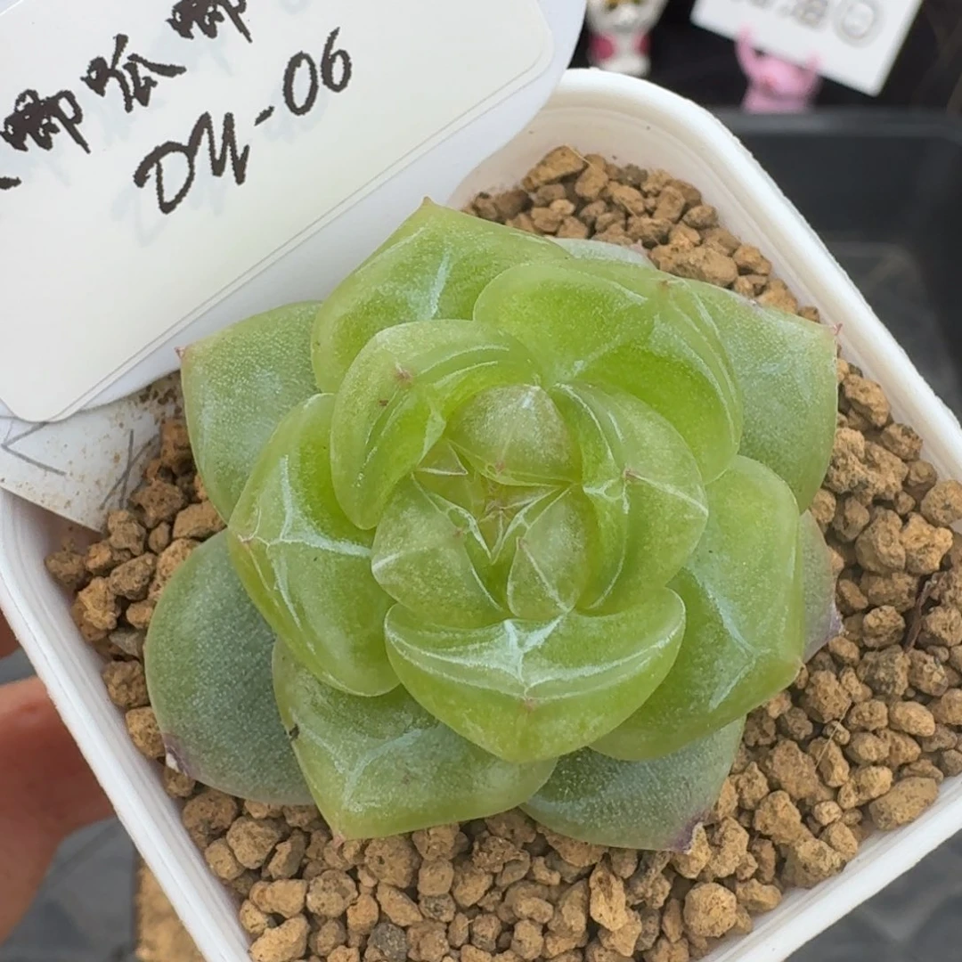 0603-06-0022编号