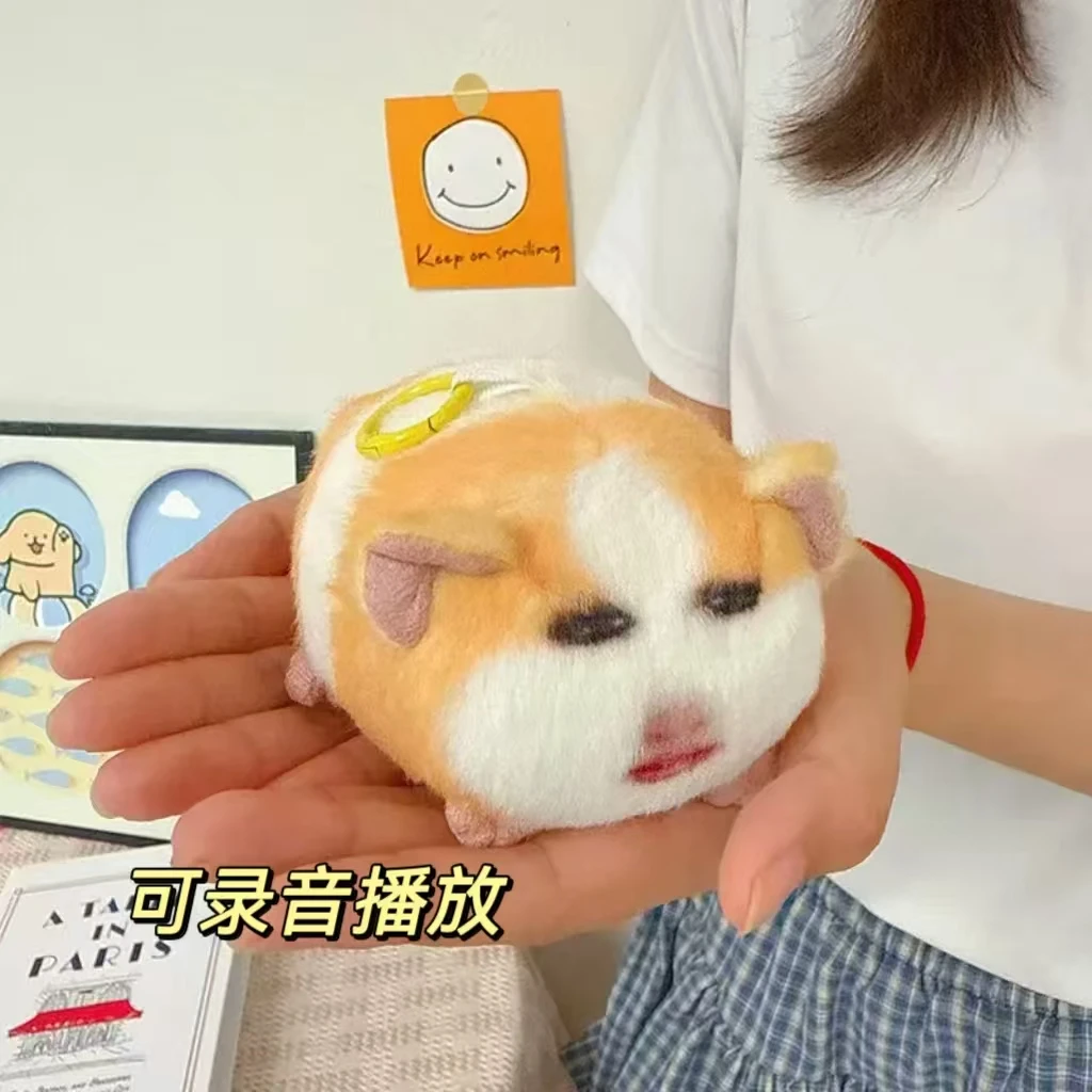 猪妞挂件毛绒玩具搞怪荷兰猪玩偶可发声录音表情包娃礼物仙女下凡