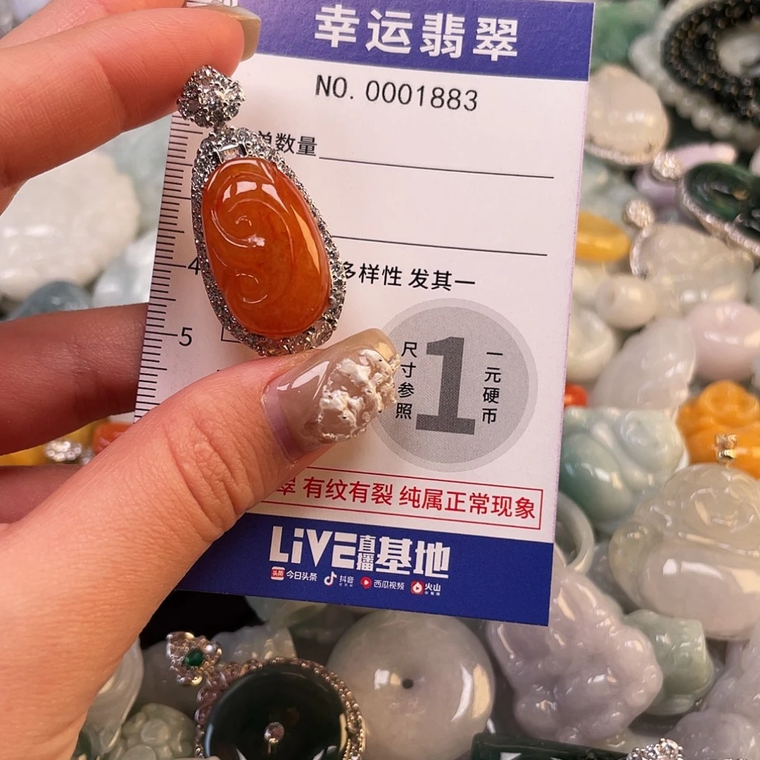 翡翠未镶嵌颈饰1883