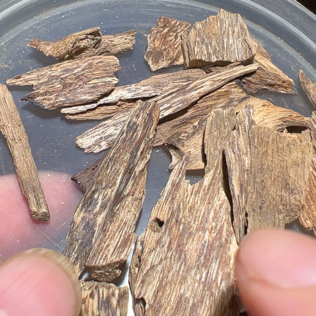 沉香沉香碎屑芽庄5.8