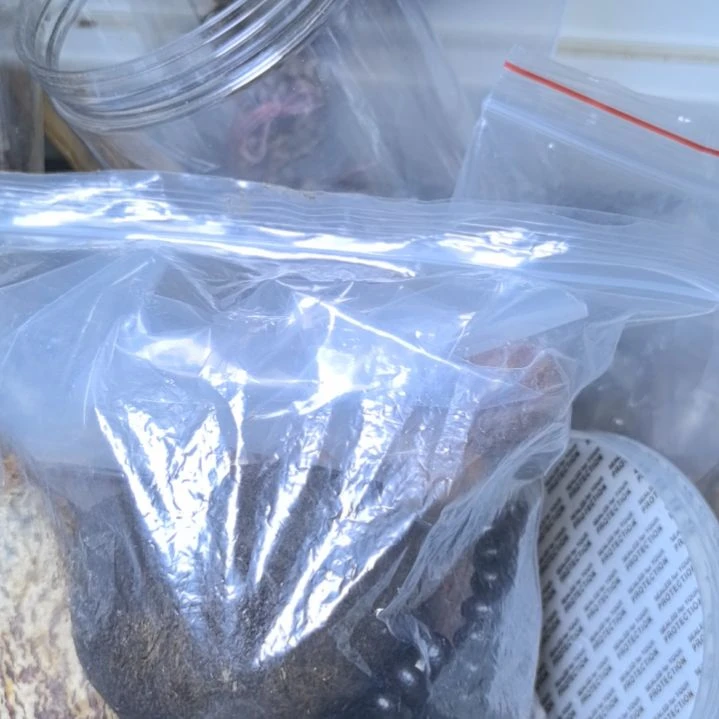 丹***帅吊坠柏香籽/百香籽菩提散珠自选菩提散珠自选