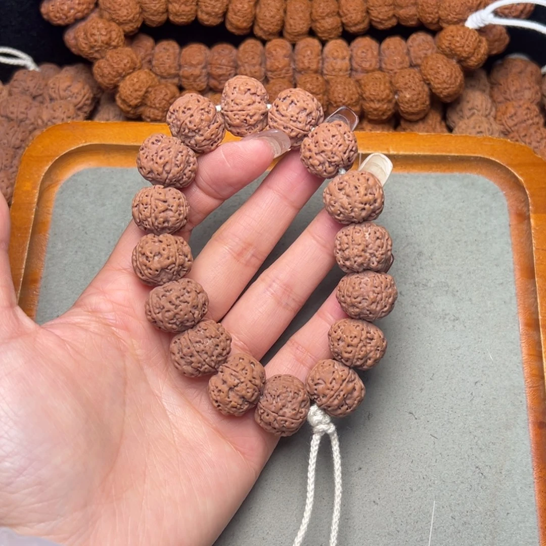 菩提21号金刚菩提满肉梅花18