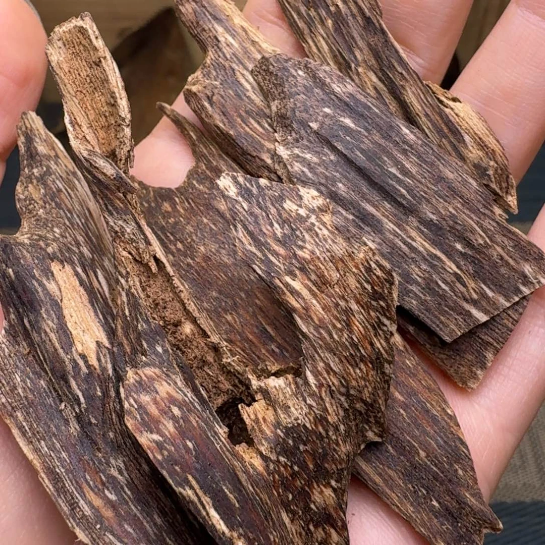 香榧木海南吊罗山黑油虫漏10.2克