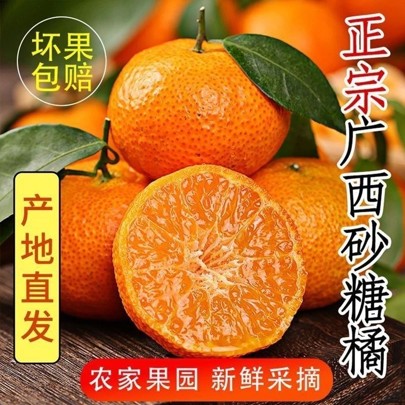 正宗广西砂糖橘水果皮薄桔子保鲜小橘子基地新鲜果园采摘甜柑橘