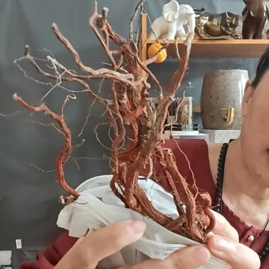 泗水砭石文化馆丹参茶