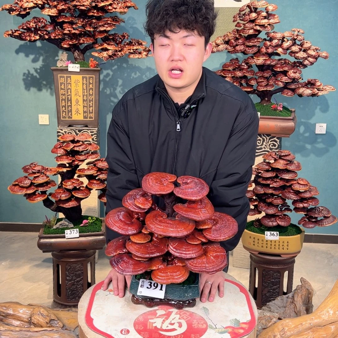 无花朵86888888888