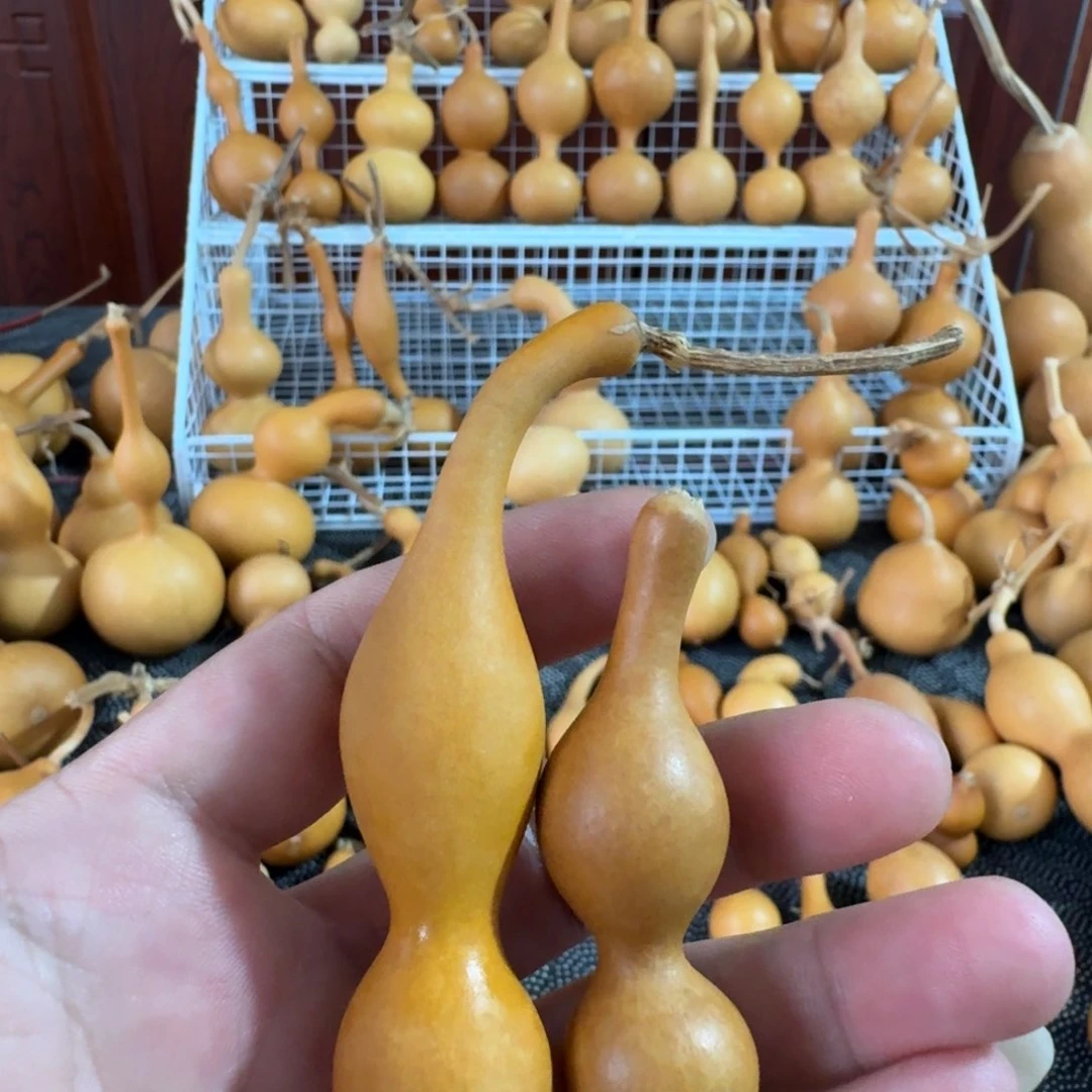 ****、精品蚂蚁葫芦系列